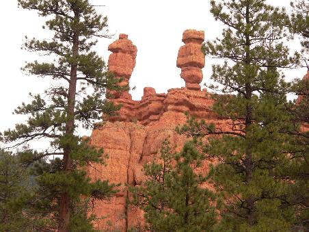 Red Canyon