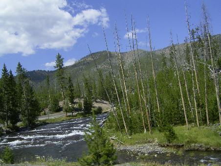 Yellowstone N.P.