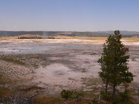 Yellowstone N.P.
