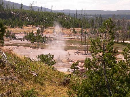 Yellowstone N.P.