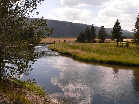 Yellowstone N.P.