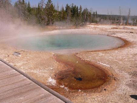 Yellowstone N.P.