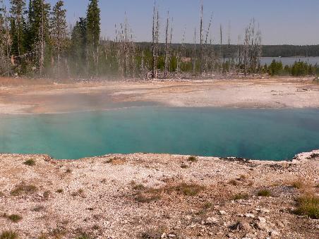 Yellowstone N.P.