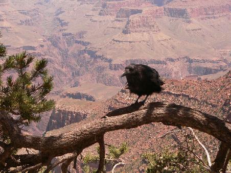 Ob das mal ein Eagle wird?
