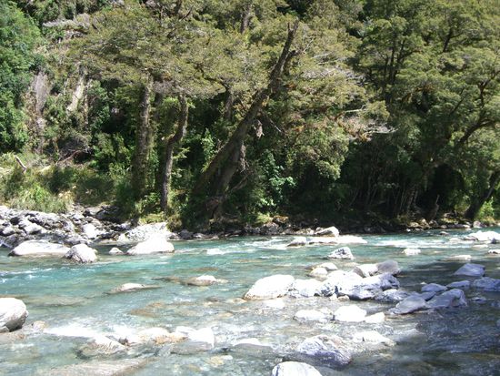 So klare Seen sieht man in Neuseeland nur!