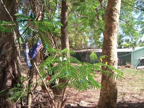 Der etwas andere Weihnachtsbaum!