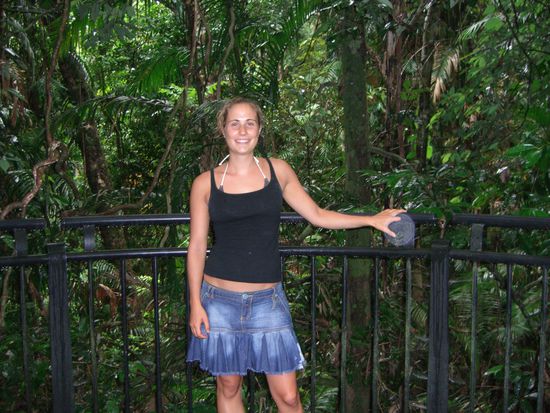 Regenwald in der Naehe von Cairns!