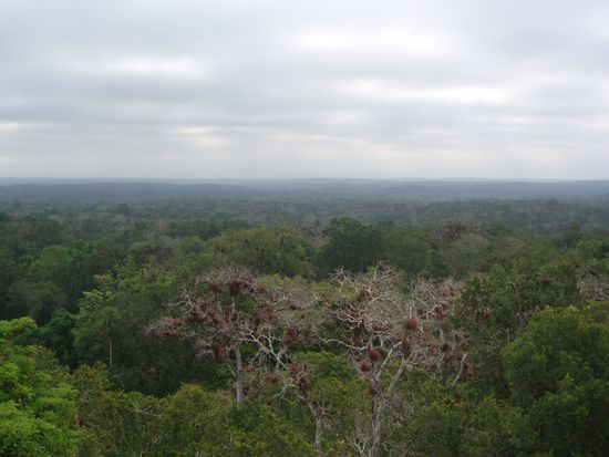 ausblick von einem der tempel!