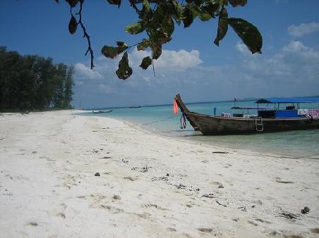...Beach