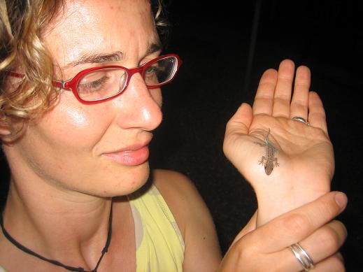 Babygecko