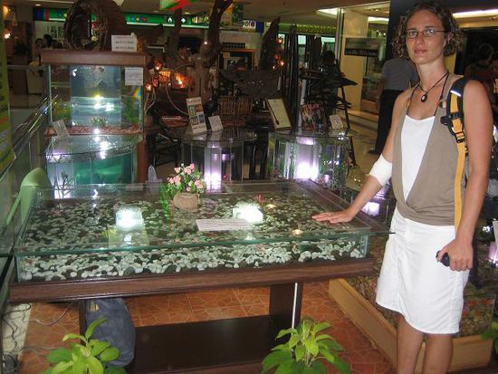 aquariumtische...super!