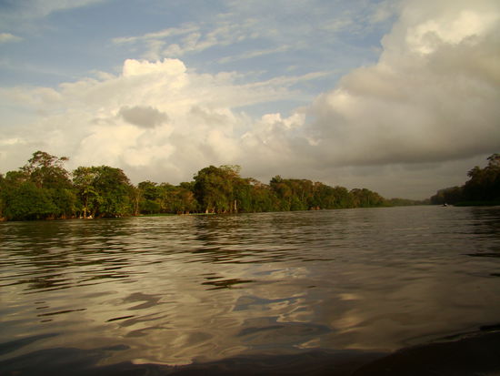 Kanalrundfahrt in Tortuguere an der Karibikküste im Norden von Costa Rica bei der Morgentour.