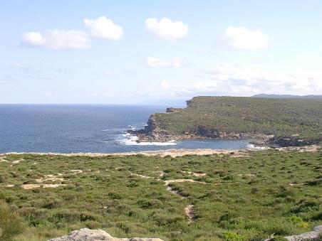 blick ueber den royal national park