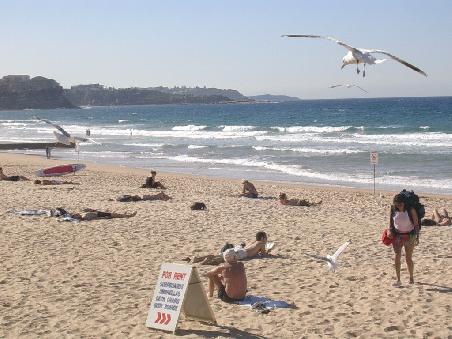 Manly Beach