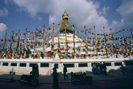 Bunt ist das Dasein und granatenstark