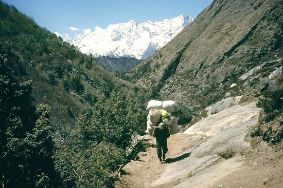 Zul. Gesamtgewicht bitter überschritten