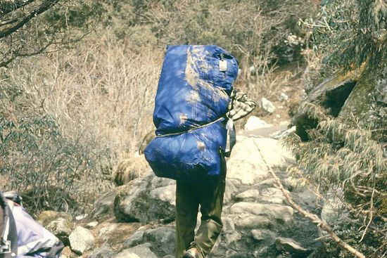 Nuri ist nur ein einziges Mal abgeschmiert