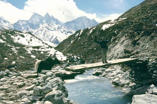 Millisekunden später musste ich die Brücke räumen...und zwar zügig