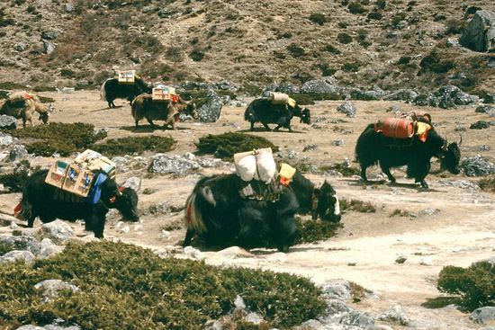 Gegner aus der Halbdistanz abschätzen...
