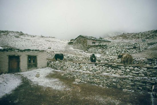 Das war besagter Morgen...grausam