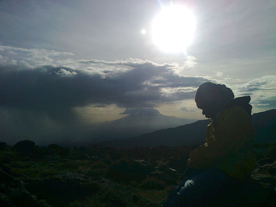 Bongo,ein treuer Gefährte