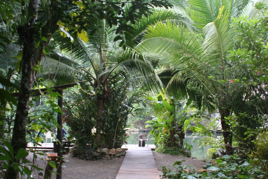 Hier an diesem Ort (Finca Tatin) beim Rio Dulce übernachteten wir.