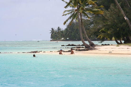 Tuerkisblaues Wasser, weisser Sand, Palmen das ist Moorea auf Tahiti