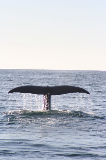 Und noch eines weil es so schoen ist