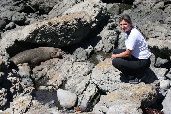 Hier nochmals ein Foto von unserem Seelowen oder Robbe mit Maite (wir sind nicht ganz sicher)hier nennt man sie Seals
