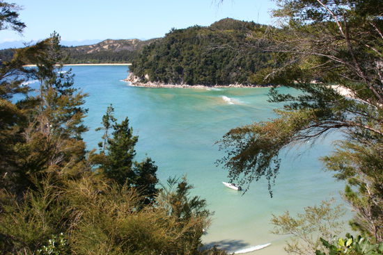 Am 3. Tag auf zu Fuss auf dem Rueckweg auf dem Coastal Track