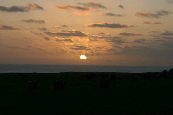 Diesen Sonnenuntergang haben wir auf dem Weg von Invercargill nach Dunedin gesehen