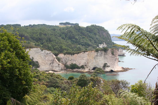 Diese schoene Landschaft haben wir auf dem halbstuendigen Spaziergang zur Catedral Cove gesehen