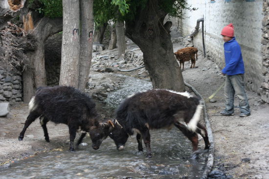 Das war lustig den zwei zuzuschauen.
