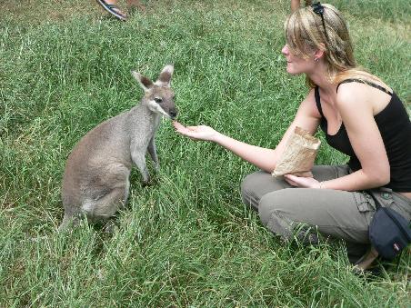 Patty und ein hungriges Wallabie. Die kleinen Kangaroos sind unglaublich zutraulich!