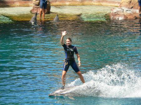 Sufin' on a dolphin!