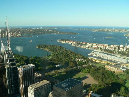 Der Blick vom Sydney Tower