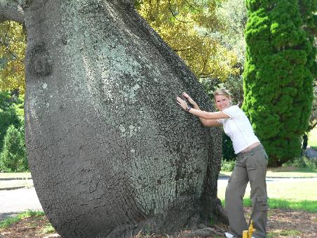 ...wo man so die ein oder andere floristische Besonderheit zu sehen bekommt (wir tauften diesen Baum "The Big Ass")