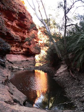 Spaziergang durch den "Garden of Eden" im Canyon