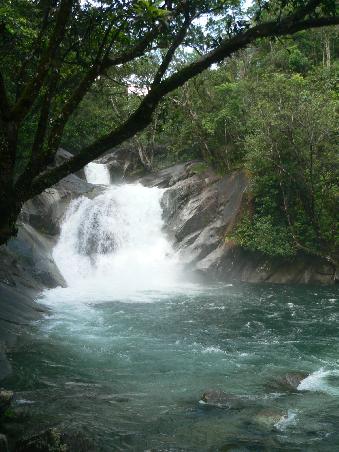 auf unserer Wanderung durch den Dschungel besuchten wir Josephine Falls. In der dry-season, wenn die Strömung nicht so stark ist, kann man hier schwimmen