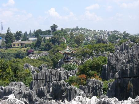 Steinwald bei Kunming