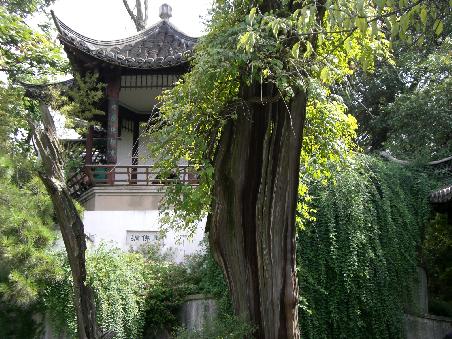 Park in Yangzhou