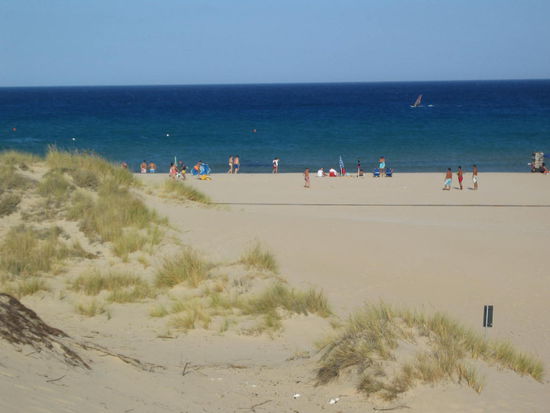 Von der Duene - nicht das Superbild, aber ein Eindruck