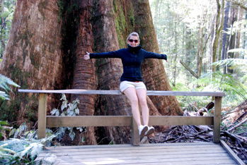 Big Tree....