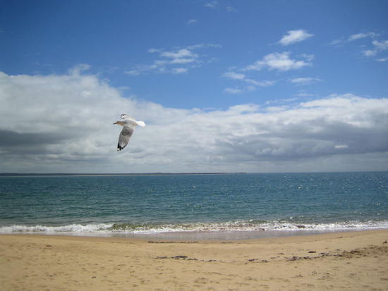 Strand