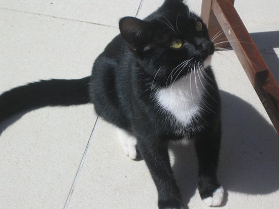 Mein Freund - nannte Ihn Charlie Chaplin..und habe ihn natürlich gefüttert...wie konnte ich auch nicht!!!