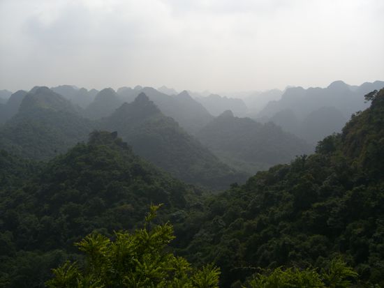 Juhu - oben und geschafft, Trekkingtour Cat Ba Island