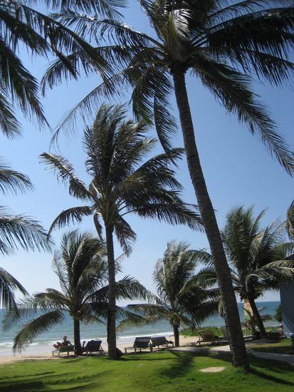 ... direkt am Strand