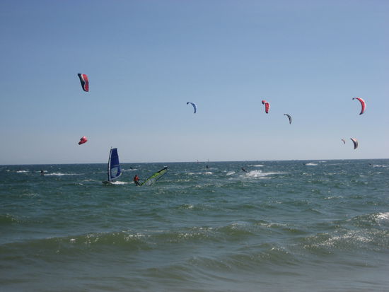 viele, viele Kitesurfer