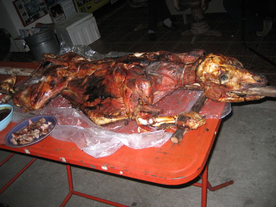 Das war so: Nach unserer Trekkingtour kamen wir erschoepft "nach Hause" ins Hostel. Dort stieg schon eine Party zum 10-jaehrigen Bestehen mit freiem BBQ. Wir haben hungrig zugelangt und erst beim Nachholen festgestellt, was wir gegessen hatten - naemlich diesen Hund...