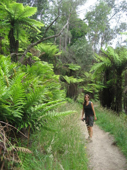 und lange Wanderungen